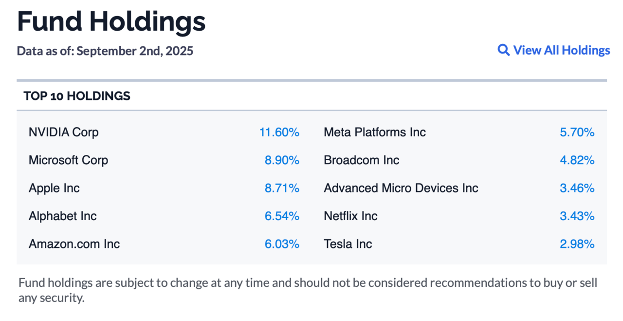 QDVO Fund Holdings
