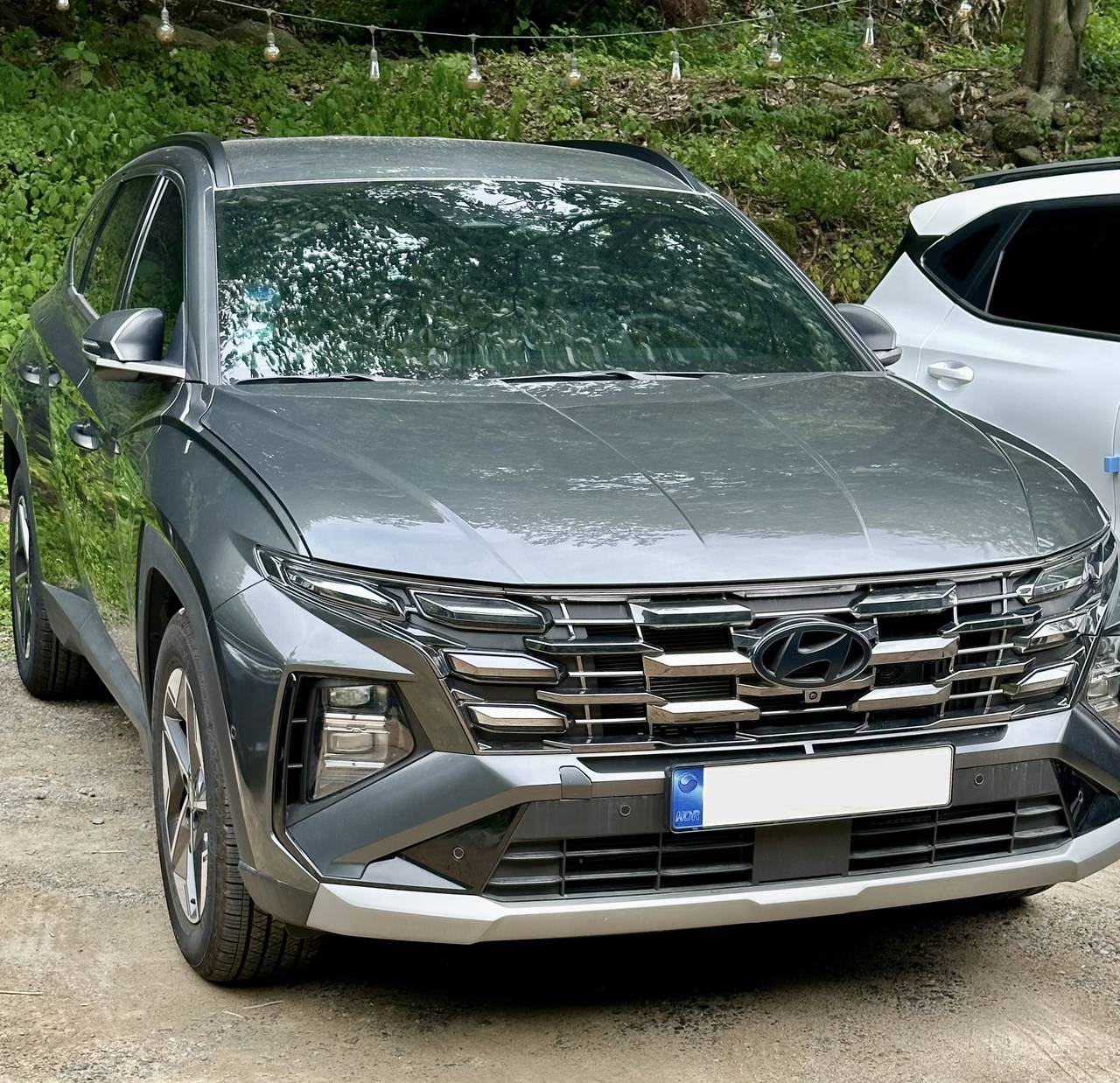 내용과는 딱히 관계 없는 그저 어느 여름 날에 찍은 투싼