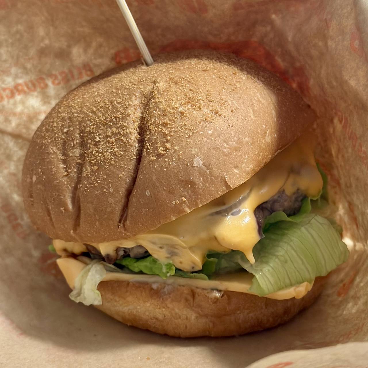 더블치즈버거의 첫 인상