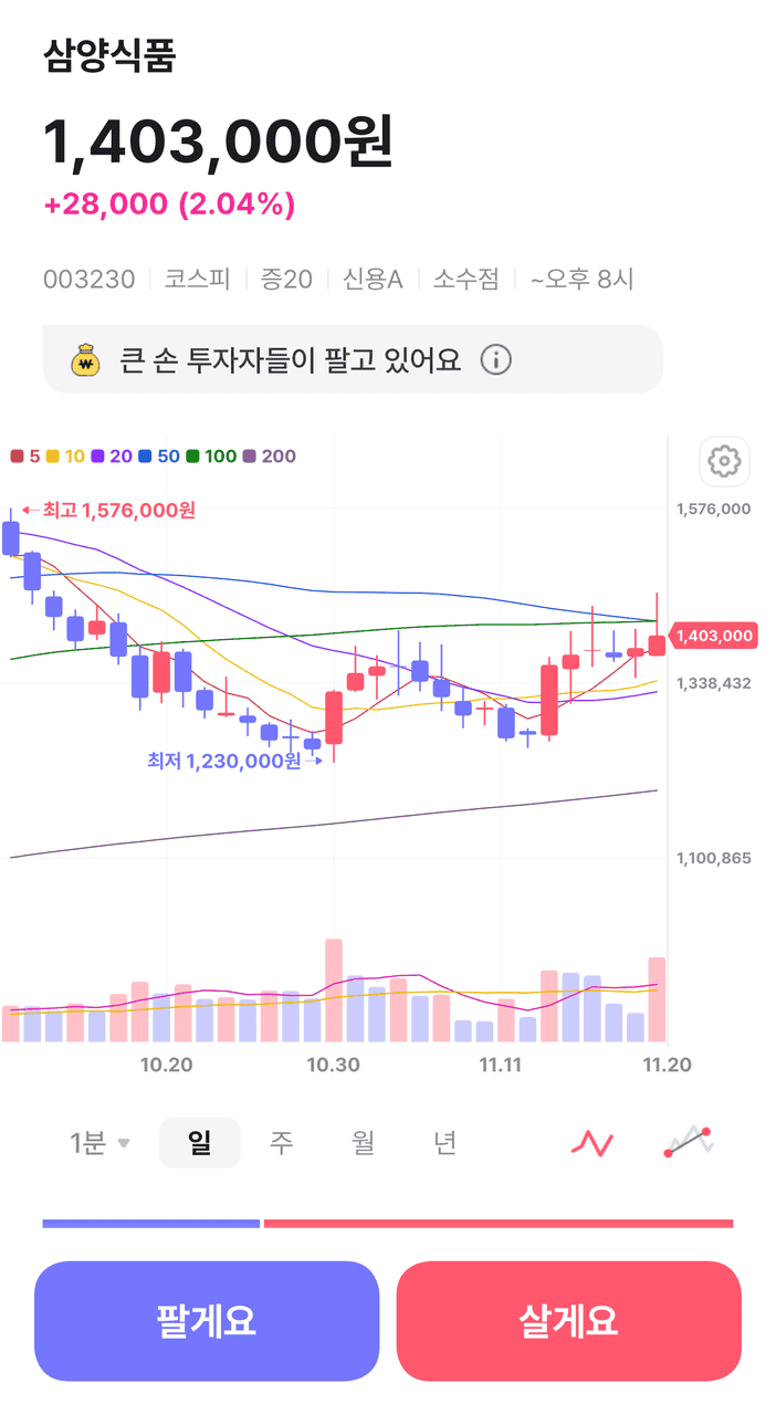 간편모드의 종목 정보 및 차트