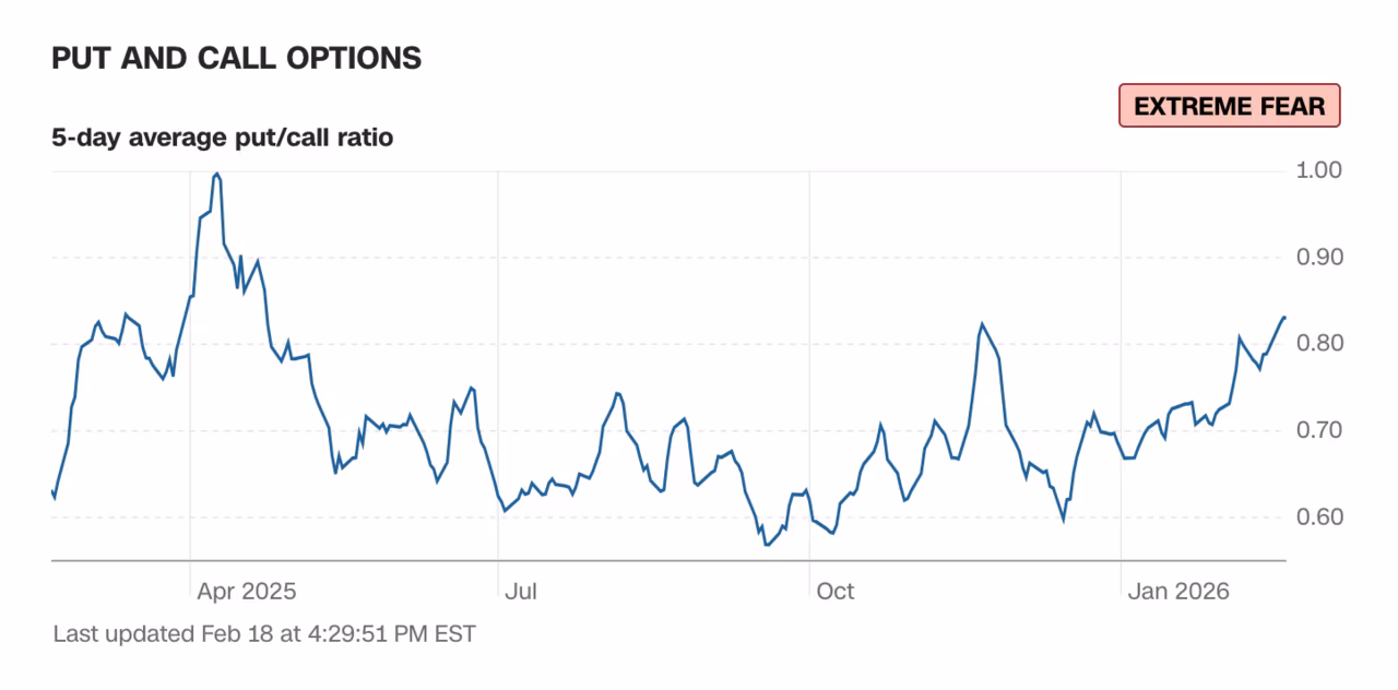 Put and Call Options (CNN Business)